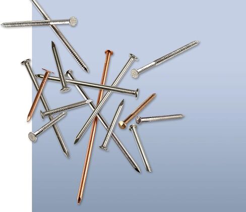ربطة عنق Simpson قوية s6snd1 و6D CEDAR و redwood siding الأظافر 5.1 cm 304 0.5 kilogram من الفولاذ المقاوم للصدأ عيار 14 in Kuwait