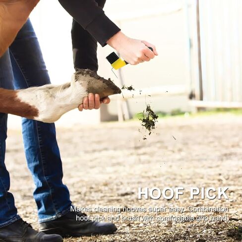 Hoof Pick with Brush, Rubberized Handle, Stainless Steel Pick in Kuwait