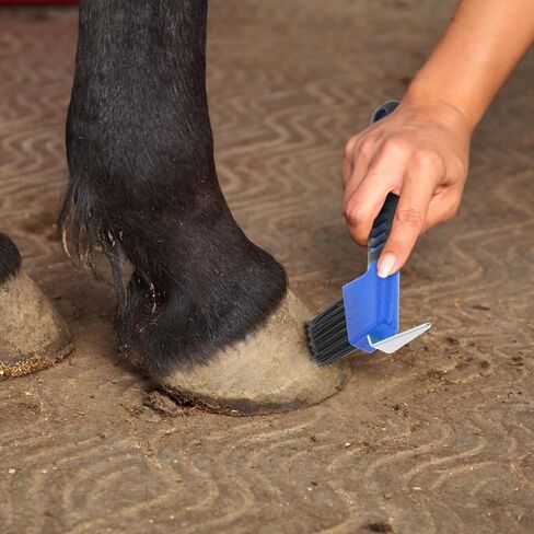 SECFOU Horse Hoof Pick and Brush Tool with Rubberized Grip Handle in Saudi Arabia