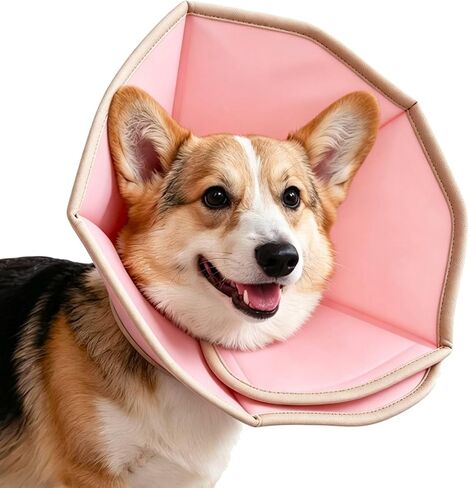 PAWISE Soft Dog Cone Collar, Adjustable Collar for Large Medium Small Pets in Saudi Arabia