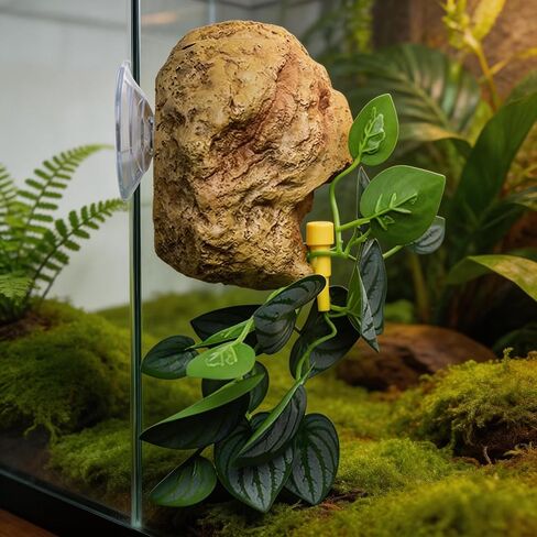 Reptile Water Dish with Adjustable Drip, Wall-Mounted Slow Dripper for Terrarium, Leak-Proof Water Bowl for Bearded Dragon, Gecko, Lizard, Snake, and Small Reptiles Habitat in Kuwait