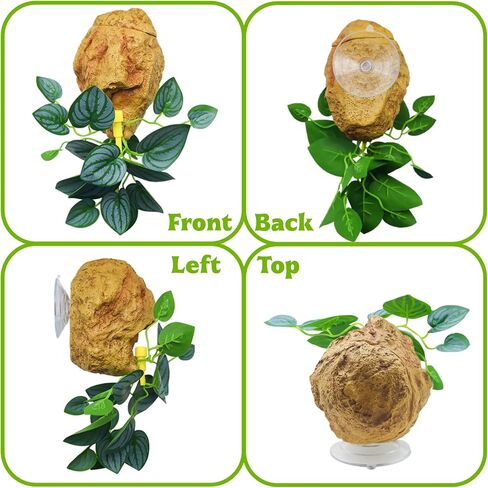 Reptile Water Dish with Adjustable Drip, Wall-Mounted Slow Dripper for Terrarium, Leak-Proof Water Bowl for Bearded Dragon, Gecko, Lizard, Snake, and Small Reptiles Habitat in Kuwait