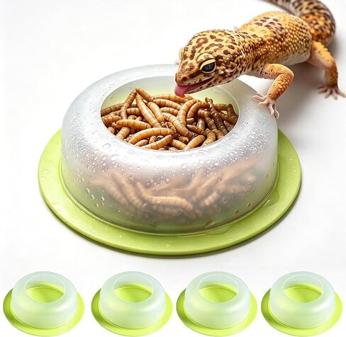 4Pcs Escape Proof Reptile Feeding Dish(2.72in), Leopard Gecko Food Dish, Reptile Bowls, Leopard Gecko Feeding Dish, Lizard Bowl in Kuwait