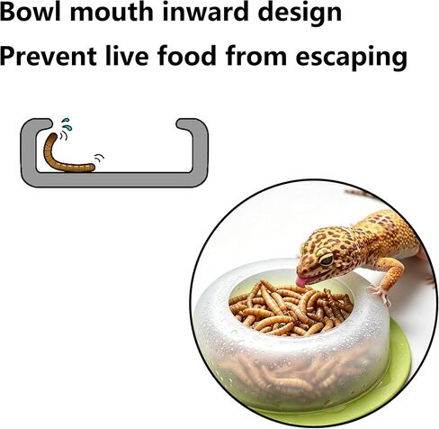 4Pcs Escape Proof Reptile Feeding Dish(2.72in), Leopard Gecko Food Dish, Reptile Bowls, Leopard Gecko Feeding Dish, Lizard Bowl in Kuwait