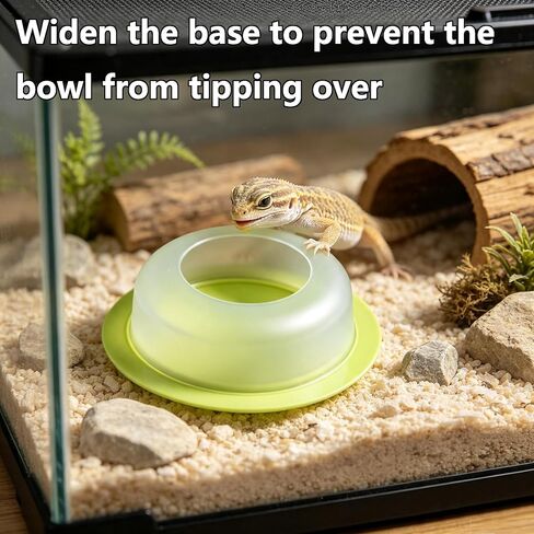 4Pcs Escape Proof Reptile Feeding Dish(2.72in), Leopard Gecko Food Dish, Reptile Bowls, Leopard Gecko Feeding Dish, Lizard Bowl in Kuwait