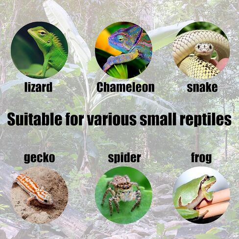 4Pcs Escape Proof Reptile Feeding Dish(2.72in), Leopard Gecko Food Dish, Reptile Bowls, Leopard Gecko Feeding Dish, Lizard Bowl in Kuwait