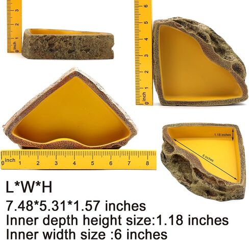 Reptile Feeder Resin Bowl Amphibian Reptile Bowl for Lizard Gecko Bearded Dragon Turtle in Kuwait