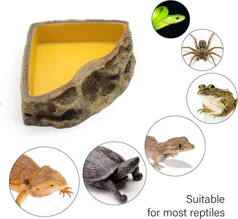 Reptile Feeder Resin Bowl Amphibian Reptile Bowl for Lizard Gecko Bearded Dragon Turtle in Kuwait