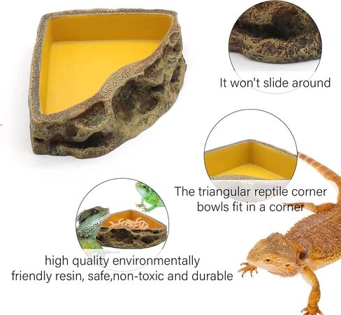 Reptile Feeder Resin Bowl Amphibian Reptile Bowl for Lizard Gecko Bearded Dragon Turtle in Kuwait