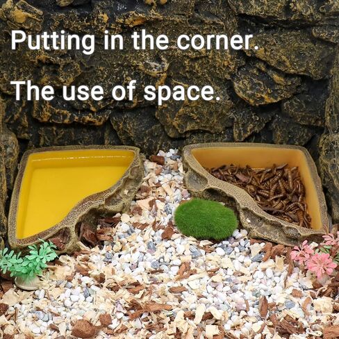 Reptile Feeder Resin Bowl Amphibian Reptile Bowl for Lizard Gecko Bearded Dragon Turtle in Saudi Arabia