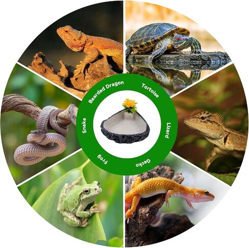 Reptile Corner Food Bowl Water Dish,Snake Feed Dish with Artificial Plant Reptile Water Bowl Terrariums for Bearded Dragon Tortoise Chameleon Hermit Crabs Turtle Leopard Gecko Frog in Kuwait