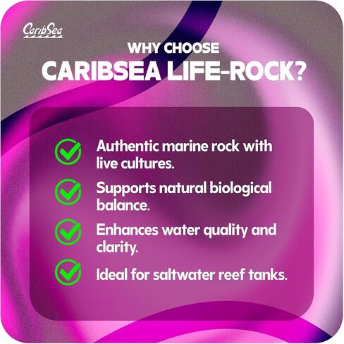 CaribSea LifeRock Base Rock - 40 lbs - Natural Aragonite Rock for Custom Aquascaping, Supports Marine & Reef Environments, Enhances Tank Stability in Kuwait