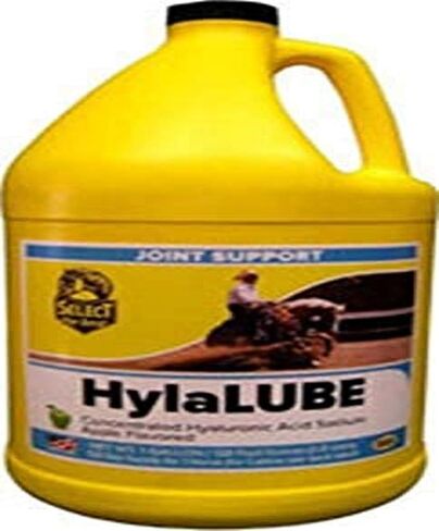 RICHDEL 81284 Hylalube Concentrate Apple in Saudi Arabia