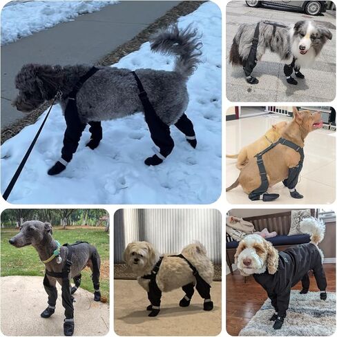 Dog Boots with Adjustable Suspender, Anti-Slip Dog Shoes, Waterproof Paw Protector for Rainy, Snowy, Hot Pavement, S in Saudi Arabia