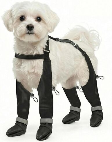 Dog Boots with Adjustable Suspenders, Waterproof Anti-Slip Paw Protection for Small Middle Large Dogs Shoes Leggings Winter Snow Rain Hiking,Black, 4 Pack (S) in Saudi Arabia