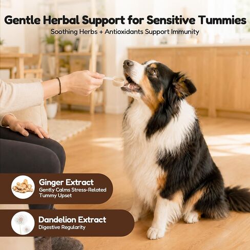 Petnanny Pumpkin Powder for Cats & Dogs, Anal Gland Health Fiber Supplement Stop Scooting with Inulin, Probiotics & Enzymes to Support Firm Stools, Digestive Comfort, Relieve Diarrhea & Constipation in Kuwait