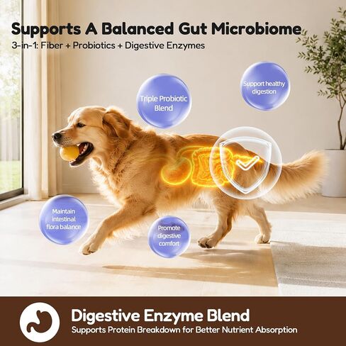 Petnanny Pumpkin Powder for Cats & Dogs, Anal Gland Health Fiber Supplement Stop Scooting with Inulin, Probiotics & Enzymes to Support Firm Stools, Digestive Comfort, Relieve Diarrhea & Constipation in Kuwait