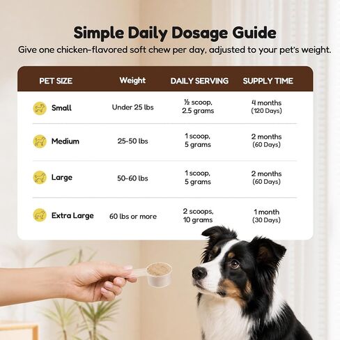 Petnanny Pumpkin Powder for Cats & Dogs, Anal Gland Health Fiber Supplement Stop Scooting with Inulin, Probiotics & Enzymes to Support Firm Stools, Digestive Comfort, Relieve Diarrhea & Constipation in Kuwait