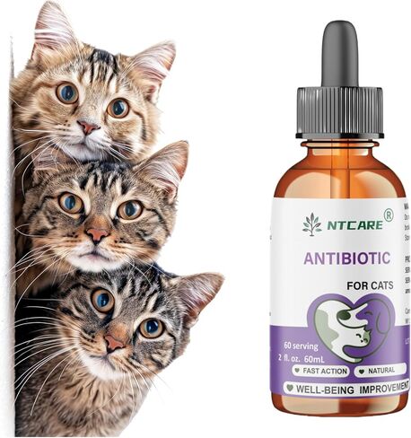 Natural Antibiotic Pet Supplements for Cats, Fish Flavour, 2 Fl Oz, 1 Pack in Kuwait