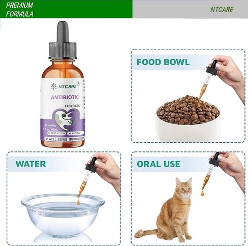 Natural Antibiotic Pet Supplements for Cats, Fish Flavour, 2 Fl Oz, 1 Pack in Kuwait