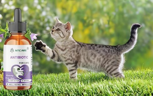 Natural Antibiotic Pet Supplements for Cats, Fish Flavour, 2 Fl Oz, 1 Pack in Kuwait
