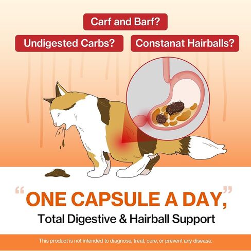 Doctor By Cat Enzyme Swift Cat Digestive Enzyme Supplement Vomiting Diarrhea, Loss of Appetite, Hairball with Pancreatine, Papain, Bromelain, Micro-Size for Easy Swallowing, 60 Sprinkle Capsules in Kuwait