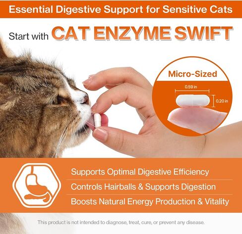 Doctor By Cat Enzyme Swift Cat Digestive Enzyme Supplement Vomiting Diarrhea, Loss of Appetite, Hairball with Pancreatine, Papain, Bromelain, Micro-Size for Easy Swallowing, 60 Sprinkle Capsules in Kuwait