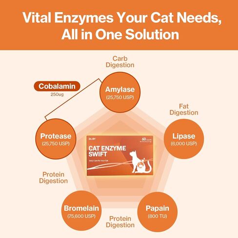 Doctor By Cat Enzyme Swift Cat Digestive Enzyme Supplement Vomiting Diarrhea, Loss of Appetite, Hairball with Pancreatine, Papain, Bromelain, Micro-Size for Easy Swallowing, 60 Sprinkle Capsules in Kuwait