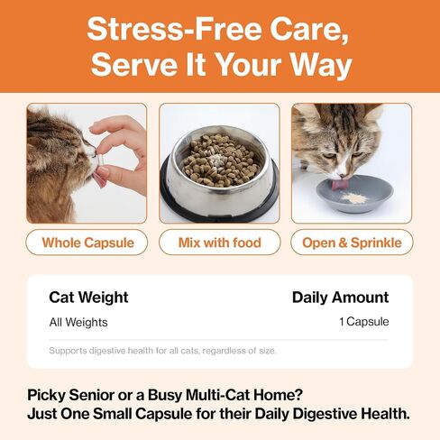 Doctor By Cat Enzyme Swift Cat Digestive Enzyme Supplement Vomiting Diarrhea, Loss of Appetite, Hairball with Pancreatine, Papain, Bromelain, Micro-Size for Easy Swallowing, 60 Sprinkle Capsules in Kuwait