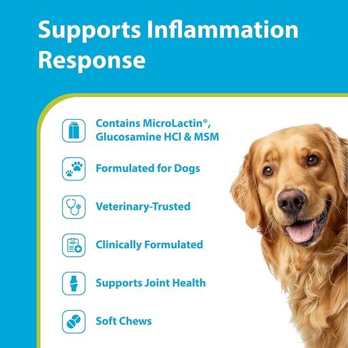 PRN Pharmacal Duralactin Canine Joint Plus Soft Chews, 90 Count in Kuwait