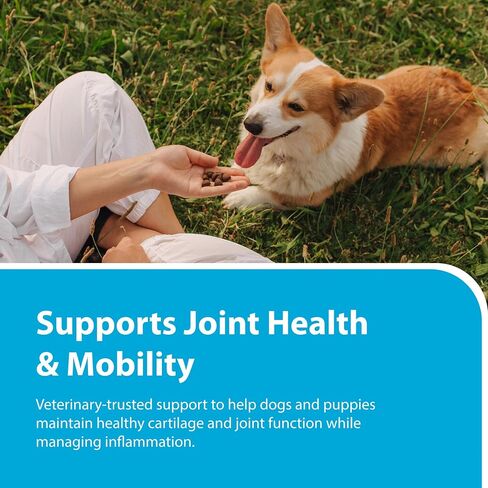 PRN Pharmacal Duralactin Canine Joint Plus Soft Chews, 90 Count in Kuwait
