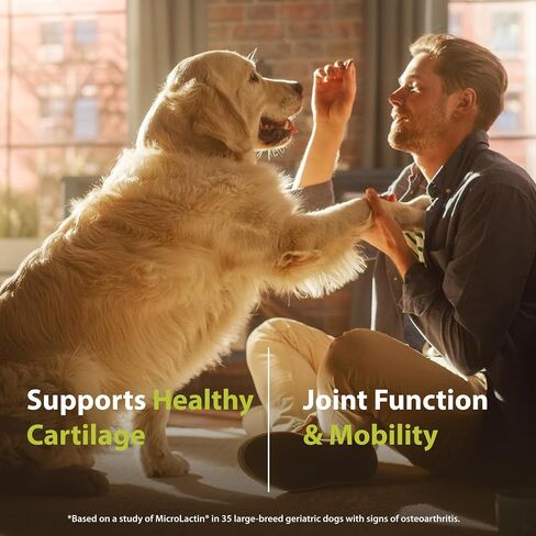 PRN Pharmacal Duralactin Canine Joint Plus Soft Chews, 90 Count in Kuwait