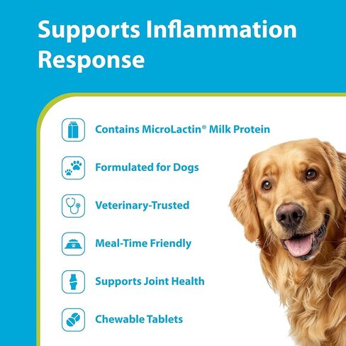 PRN Pharmacal Duralactin Canine Chewable Tablets, Vanilla, 60 Count in Kuwait