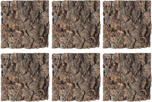 6pcs Cork Bark Background for Reptile Terrariums, Easy Clean 6x6 Wood in Kuwait