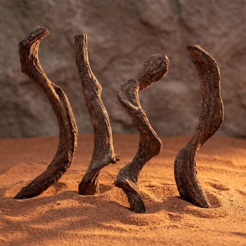 SOIMISS 4pcs Irregular Reptile Branch Wood for Terrarium and Tank Climbing in Kuwait