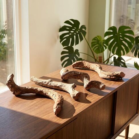 SOIMISS 4pcs Irregular Reptile Branch Wood for Terrarium and Tank Climbing in Kuwait