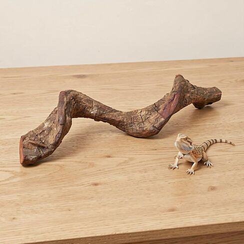 4pcs Natural Wood Branches for Reptile Terrarium and Tank Habitat in Kuwait