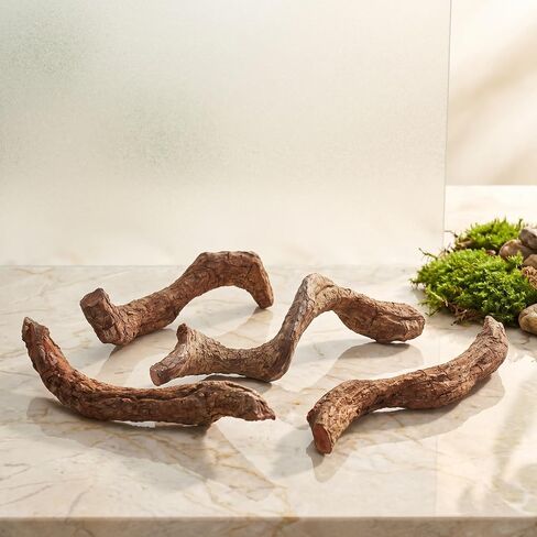 4pcs Natural Wood Branches for Reptile Terrarium and Tank Habitat in Kuwait