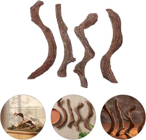 4pcs Natural Wood Branches for Reptile Terrarium and Tank Habitat in Kuwait
