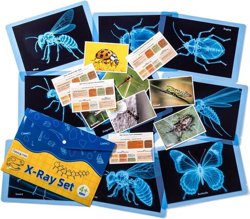 Pet Series Animal Xrays for Kids - Light Table Manipulatives in Saudi Arabia