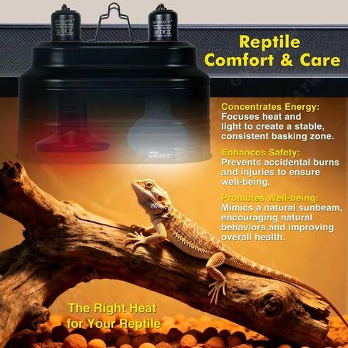Reptile lamp, Maximum 160W Each Reptile hot lamp Comes with a Separate Switch, Suitable for Lizards, Turtles, Snakes, and Amphibians. in Saudi Arabia
