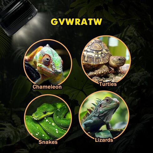 Reptile lamp, Maximum 160W Each Reptile hot lamp Comes with a Separate Switch, Suitable for Lizards, Turtles, Snakes, and Amphibians. in Saudi Arabia