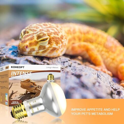 Reptile Heat Lamp 75W,(2 Pack) Heat Emitter UVA Heat Lamp Bulb,Intense Basking Spot Simulated Natural Sunlight Heating Lamp Bulb,Fit E26 Pet Lighting fixtures,for Bearded Dragon, Lizard in Kuwait