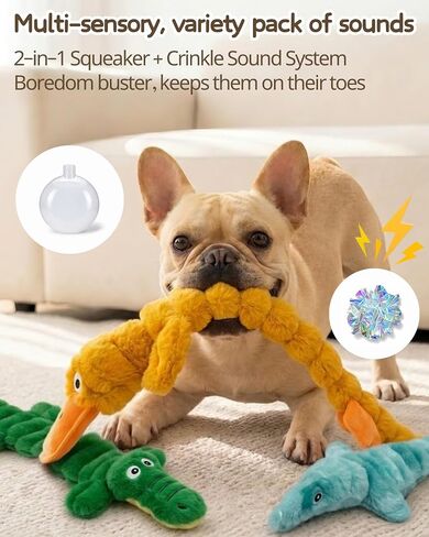 BoYoYo 3 Pack No Stuffing Squeaky Dog Toys for Small Dogs,Plush Crinkle Toy in Saudi Arabia