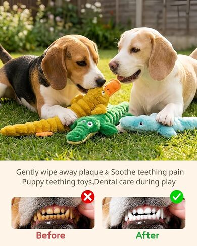 BoYoYo 3 Pack No Stuffing Squeaky Dog Toys for Small Dogs,Plush Crinkle Toy in Saudi Arabia