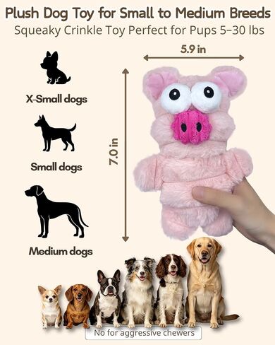 BoYoYo 5 Pack Plush Squeaky Dog Toys for Small Dog,Stuffed Animal Puppy Toy in Saudi Arabia