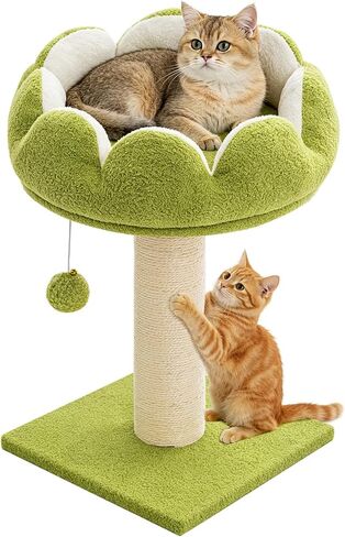 Flower Cat Scratching Post for Indoor Cats Scratcher with Bed in Kuwait