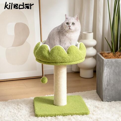 Flower Cat Scratching Post for Indoor Cats Scratcher with Bed in Kuwait