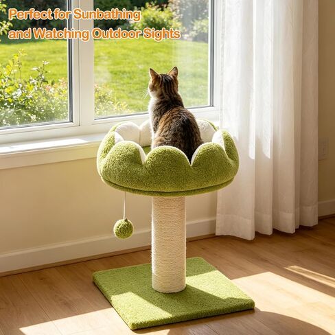 Flower Cat Scratching Post for Indoor Cats Scratcher with Bed in Kuwait