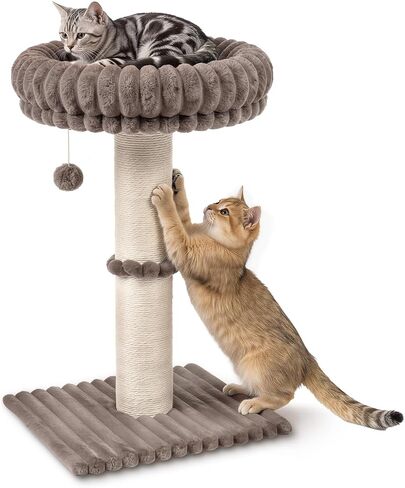 Avont Modern Cloud Cat Scratching Post with Perch for Indoor Adult Cats in Saudi Arabia